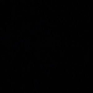 Meet your Posher, Jaydyn